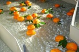 trasporto arance in acqua